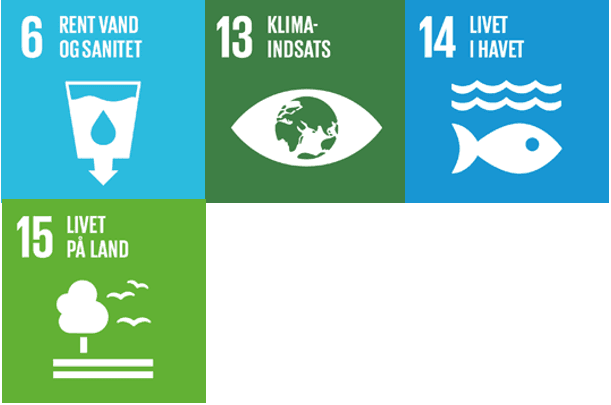 SDG 6. 13. 14 og 15